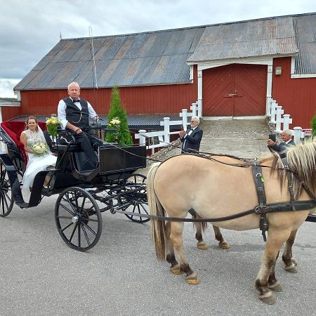 Hotell Eikerapen Gjestegard Aseral Fossdal 외부 사진