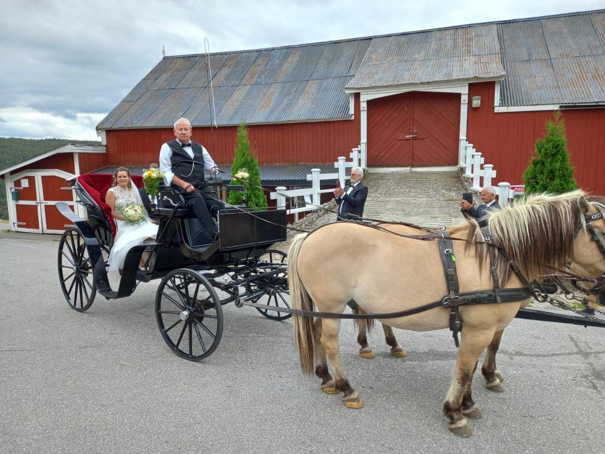 Hotell Eikerapen Gjestegard Aseral Fossdal 외부 사진
